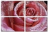 مجموعة لوحة فنية من قماش الكانفاس بطبعة من 4 قطع وردي/أسود/رمادي 60x60سم