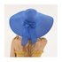 Fashion Sun Hats Beach Hats Straw Hats For Women Blue