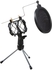 Professional Condenser Microphone Mini Portable Recording Microphone Set For Voice Recording