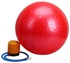 Balance Stability Pilates Ball With Air Pump 65 centimeter