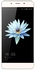 Hisense Pearl C1 - 5.5" - 4G Mobile Phone - Gold