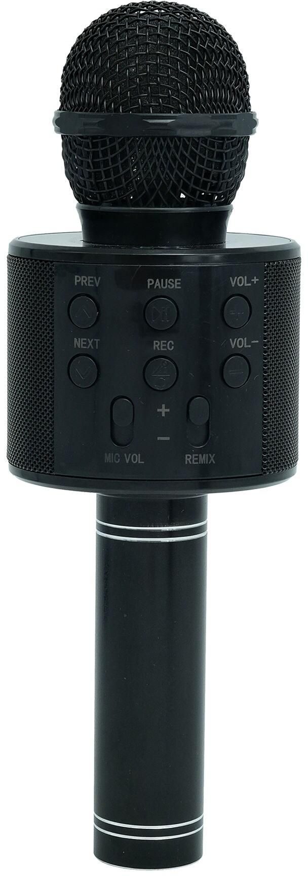 HandHeld KTV Wireless Microphone HIFI Speaker, Black
