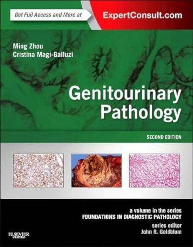Genitourinary Pathology: A Volume in the Series: Foundations in Diagnostic Pathology ,Ed. :2