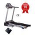 Treadmill Sprint DM6000