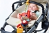 Tiny Love - Christopher The Fox Jitter - Meadow Days- Babystore.ae