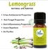 Oilees Lemongrass Essential Oil 10ml