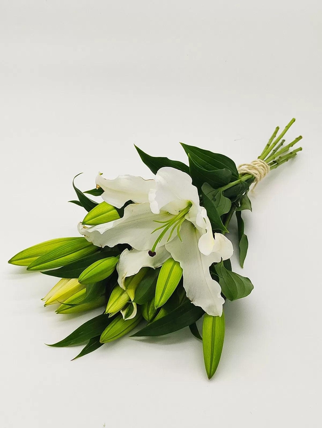 Flowers - White Lillies