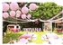 10Pcs Pink Paper Lanterns Decorative, Chinese/Japanese Hanging Round Foldable Lantern, for Birthday, Wedding, Halloween, Bridal Shower, Home Decor, Party (Size of 4”, 6”, 8”, 10”)