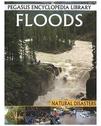 Floods Hardcover