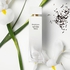 Elizabeth Arden White Tea Perfume for Women Eau De Toilette 100ML