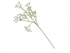 Candlelight Single Stem Gypsophila With White Flowers, 62cm Height