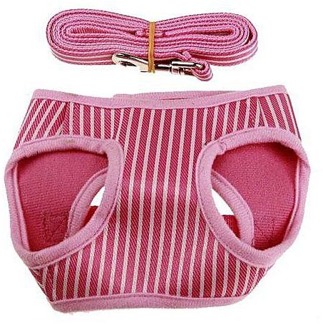 Eissely One Set Square Shape Fashion Pet Dog Walk Out Vest Traction Rope