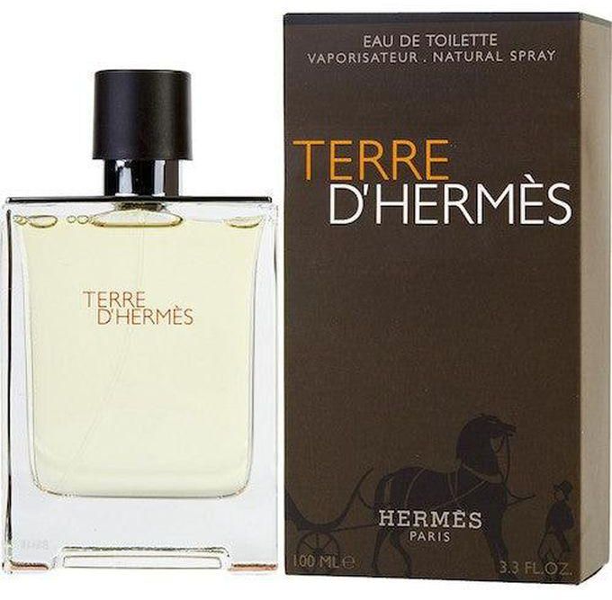 Hermes Terredhermes EDT 100ml For Men