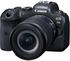Canon EOS R6, Mirrorless Camera, 24-105mm STM Lens