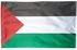 بيفسينول ايه علم فلسطين 2 قدم × 3 قدم - اعلام فلسطينية 60 × 90 سم - لافتة 2 × 3 قدم