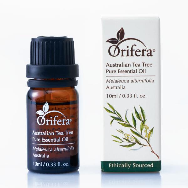Orifera Australian Tea Tree (Melaleuca Alternifolia) Essential Oil