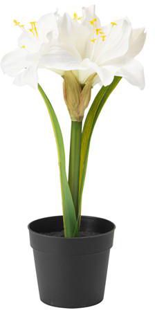FEJKAArtificial potted plant, Amaryllis white