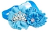 Rhinestone Studded Tiara Design Headband Blue