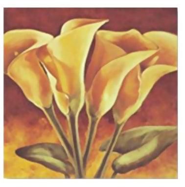 Decorative Wall Poster Yellow/Brown 30x30centimeter