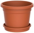 Cosmoplast Plastic Round Flower Pot With Tray Terracotta 6inch