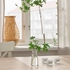 TIDVATTEN Vase, clear glass, 14 cm - IKEA