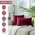 Maroon Red Velvet Decorative Solid Filled Cushion, 45*45 centimeter