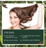 Bio Organic Natural Shikakai Powder | Acacia Concinna With Amla Powder | Indian Gooseberry For Hair Care (100G+100G=200G)