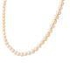 Teleios Luxe 18K Gold Peach Pearl 7-8 Mm Strand Necklace - TL0000140