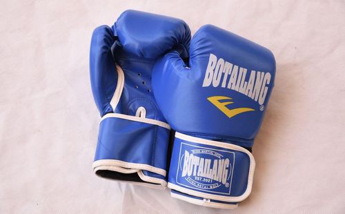 Generic BOXING GLOVES/MMA GLOVES