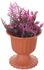 Get Round Plastic Vase, 11 cm with best offers | Raneen.com