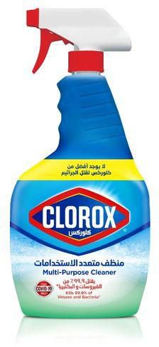 Clorox Clorox Multipurpose Cleaner Spray 500ML
