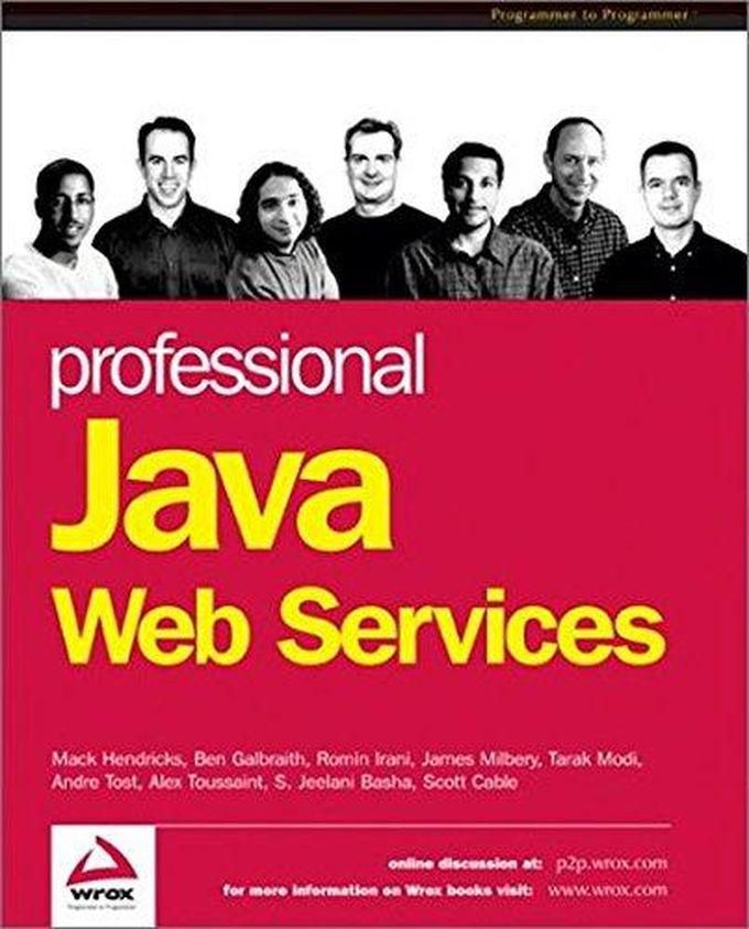 John Wiley & Sons Professional Java Web Services ,Ed. :1