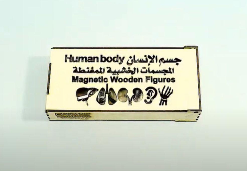 Wooden Human Body Parts & Organs Educational Figures