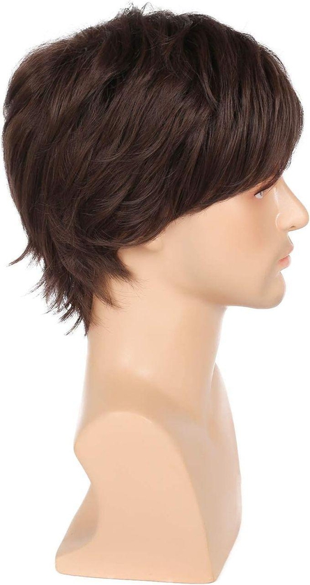Synthetic Hair Wig For Men Short Straight Brown Color