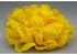 Generic Yellow Daffodil-Vintage Burn Edge Chiffon Flower For Children Hair Accessories Artificial Fabric Flowers For Headbands