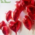 1Pc Red Heart/Love Shaped 18inch Helium Aluminium Foil Balloon