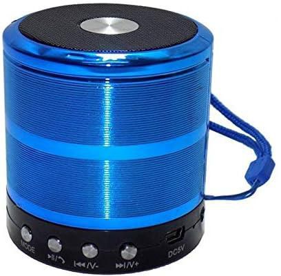 Portable Bluetooth Speaker FM, Memory Card and USB Support - Blue