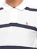 U.S. Polo Assn. Polo for Men - White & Navy Blue