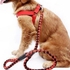 Pet High Quality Nylon Dog Harness And Leash Double Layer