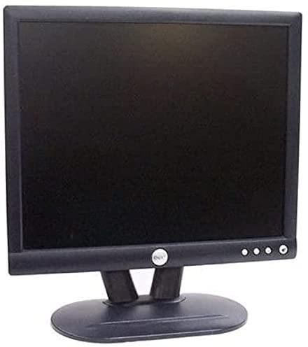 Dell LCD Monitor - 17in