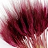 FANCY Dried Wheat Ears. Dry Flower. Artifice Flowers Sticks DW-R