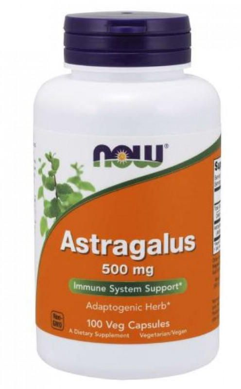 NOW ASTRAGALUS 500MG CAPS 100'S