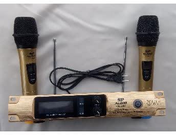 Professional Wireless Microphone  - Dm-300g