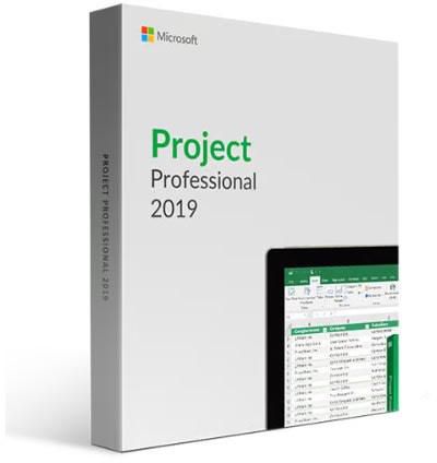 Microsoft Project 2019 Professional Binding