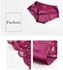 3D Fashion 6pc Ladies Seamless Lace Panties
