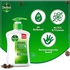 Dettol original handwash liquid soap pump for effective germ protection & personal hygiene (protects against 100 illness causing germs) pine fragrance, 400ml @20% off