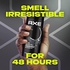 Axe Men Deodorant Body Spray for Long Lasting Odour Protection, Black, 48 hours Irresistible Fragrance, 150ml