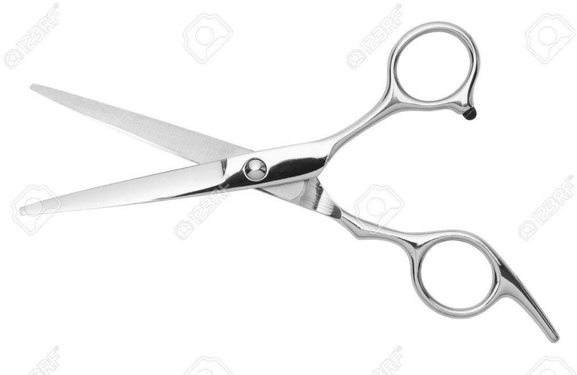 6" Professional Hair Cutting Scissor