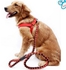 Double Layered Pet High Quality Nylon Dog Harness Collar And Leash