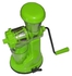 Handheld Fruit & Vegetable Juicer & Extractor - Green GREEN